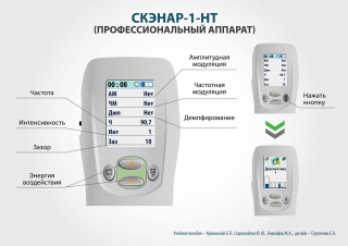 СКЭНАР-1-НТ (исполнение 01)  в Армавире купить Медицинская техника - denasosteo.ru 