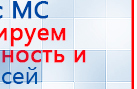 Пояс электрод купить в Армавире, Электроды Меркурий купить в Армавире, Медицинская техника - denasosteo.ru